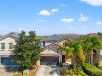 Inviting home boasts a well-maintained lawn, a spacious garage, and mature palm trees at 18855 Hampstead Heath Ct, Land O Lakes, FL 34638