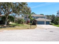 Beautiful home with lush landscaping, three-car garage, and a well-manicured lawn at 4037 Auston Way, Palm Harbor, FL 34685