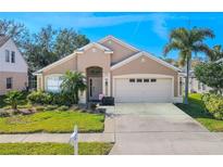 Charming home featuring stucco exterior, well-manicured landscaping, and a two-car garage at 230 Gray Oak Dr, Tarpon Springs, FL 34689