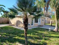 Cozy backyard featuring a quaint, light beige structure and a young palm tree in a grassy yard at 711 Smith St, Clearwater, FL 33756