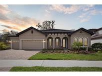 Stunning single-story home featuring a well-manicured lawn, arched windows and doorway, and a spacious three-car garage at 4535 Foley Grove Dr, Valrico, FL 33596