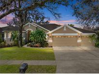 Charming single-story home featuring a three-car garage, lush landscaping, and a welcoming entrance at 6107 Ibispark Dr, Lithia, FL 33547
