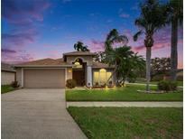 Charming single-story home with a well-manicured lawn and lush tropical landscaping under a vibrant sunset sky at 1803 Wakefield Dr, Brandon, FL 33511