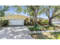 Charming home featuring a manicured lawn, mature trees, and a welcoming two-car garage at 6041 16Th Ne Ln, St Petersburg, FL 33703