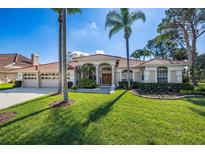 Charming home with a tile roof, manicured lawn and beautiful palm trees at 4906 Turtle Creek Trl, Oldsmar, FL 34677