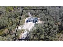New construction home on a wooded lot featuring a large, private driveway and modern architectural design at 8204 Chimney Rock Dr, Webster, FL 33597
