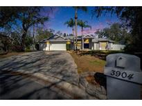 Charming single Gathering home featuring a paved driveway, mature trees and tropical landscaping at 3904 Executive Cir, Plant City, FL 33566