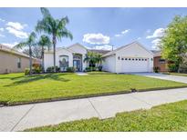 Charming single-story home with a well-manicured lawn, complemented by mature palm trees at 4313 Brooke Dr, Valrico, FL 33594