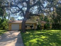 Charming yellow home with a well-maintained lawn and mature trees creating a shaded front yard at 7111 N 53Rd St, Tampa, FL 33617