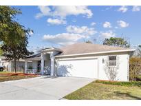Charming single-Gathering home featuring a spacious two-car garage and well-maintained lawn on a sunny day at 15807 Leatherleaf Ln, Land O Lakes, FL 34638
