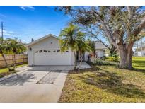 Charming single-story home featuring a well-maintained lawn, mature trees, and an attached two-car garage at 80 Squire Ct, Dunedin, FL 34698