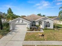 Charming single-story home with a two-car garage, manicured lawn, and mature landscaping at 22516 Magnolia Trace Blvd, Lutz, FL 33549