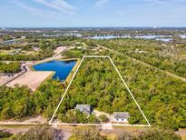 Expansive aerial view of the property, showcasing a large wooded lot, pond, and existing home site at 920 E Lake Dr, Tarpon Springs, FL 34688