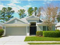 Charming one-story home boasts a two-car garage, manicured lawn, and inviting entrance at 5351 Lookout Pass, Wesley Chapel, FL 33544