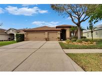 Beautiful single-story home with a well-manicured lawn, mature tree, and a spacious driveway leading to a two-car garage at 1220 Emerald Hill Way, Valrico, FL 33594