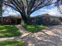 Charming single-story home with mature landscaping, brick driveway, and grand shade tree at 13304 Meadowwood Ct, Tampa, FL 33618