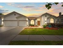 Charming single-story home featuring a well-manicured lawn and a two-car garage, illuminated by a colorful sunset at 9408 Bluebird Dr, Tampa, FL 33647