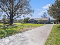 Well-maintained home with a long driveway, lush lawn, and mature trees providing shade and character at 7843 Shoupe Rd, Plant City, FL 33565