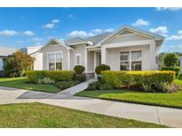 Attractive one-story home with lush green lawn and neatly trimmed shrubs, creating a welcoming curb appeal at 3579 Sweet Mabolo St, Wesley Chapel, FL 33543