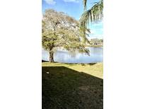 Scenic water view from the property showcasing a tranquil lake surrounded by lush greenery and neighborhood homes at 1020 Bowsprit Ln # X, Holiday, FL 34691
