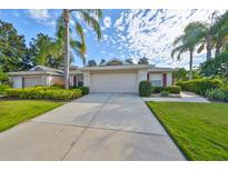 Charming home with a well-maintained front yard and beautiful landscaping and a long driveway at 1171 Corinth Greens Dr, Sun City Center, FL 33573