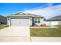 Charming single-story home with gray exterior, well-manicured lawn, and an attached two-car garage at 6863 Hanworth Ln, Zephyrhills, FL 33541