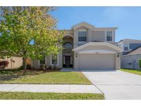 Charming two-story home featuring an attached two-car garage and a beautifully landscaped front yard at 9224 Lost Mill Dr, Land O Lakes, FL 34638