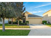 Charming single-story home with a well-manicured lawn, mature trees, and a two-car garage on a sunny day at 15425 Long Cypress Dr, Ruskin, FL 33573
