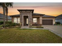 Beautiful single-Gathering home featuring a stone facade, well-manicured lawn, and a welcoming entrance at 32702 Natural Bridge Rd, Wesley Chapel, FL 33543