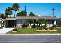 Charming single-story home with well-manicured lawn, mature palm trees, and carport at 1503 Council Dr, Sun City Center, FL 33573