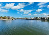 Waterfront view highlighting serene water, luxurious homes, and a tranquil neighborhood under a partly cloudy sky at 3906 Versailles Dr, Tampa, FL 33634
