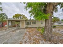 Charming single-story home featuring a covered carport and beautifully shaded front yard with mature trees at 434 Pevetty Dr, Plant City, FL 33563