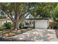 Charming home featuring mature trees, manicured landscaping, and a welcoming front entrance at 6690 33Rd N Ave, St Petersburg, FL 33710