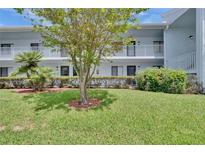 Two-story condo building with manicured lawn and lush landscaping offers a tranquil outdoor living experience at 313 Martha Ln # 4, Oldsmar, FL 34677