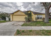 Charming single-story home with a two-car garage, lovely landscaping, and a well-maintained lawn at 1610 Bondurant Way, Brandon, FL 33511