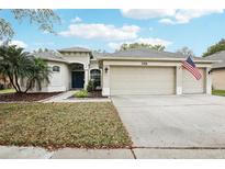 Charming single-story home with a two-car garage, well-maintained lawn, and a welcoming front entrance at 3206 Hurley Grove Way, Valrico, FL 33596