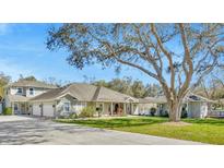 Expansive home exterior featuring a well-manicured lawn and large tree providing shade and curb appeal at 4411 Culbreath Rd, Valrico, FL 33596