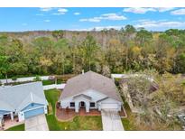 This aerial shot highlights the home's setting nestled in lush greenery at 9527 Pebble Glen Ave, Tampa, FL 33647