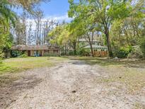Sprawling homes with a large, open yard with mature trees providing ample shade and natural beauty at 6302 Fitzgerald Rd, Odessa, FL 33556