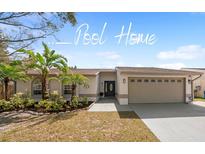 Charming single-story home featuring a manicured lawn, tropical landscaping, and a two-car garage at 641 Bay Lake Trl, Oldsmar, FL 34677