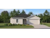 Charming one-story home with a well-manicured lawn, featuring a two-car garage and neutral paint at 15051 Zircon Red Dr, Wimauma, FL 33598