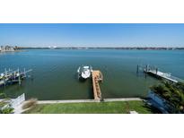 Breathtaking waterfront view of the Gulf Coast from a lush backyard with docks and boat lift at 6976 S Shore S Dr, St Petersburg, FL 33707