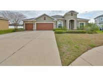 Charming single-story home with a well-maintained lawn and a two-car garage at 13908 Artesa Bell Dr, Riverview, FL 33579