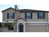 Charming two-story home featuring a two car garage and neutral paint scheme at 10111 Rosemary Leaf Ln, Riverview, FL 33578