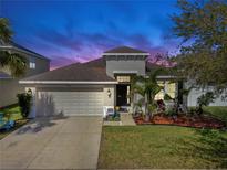 Charming single-Gathering home featuring a two-car garage and well-manicured front lawn, perfect for suburban living at 8220 Round Leaf Ln, Riverview, FL 33578