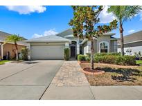 Charming one-story home with a two car garage, manicured landscaping, and a welcoming walkway at 1665 Bonita Bluff Ct, Ruskin, FL 33570
