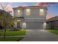 Charming two-story home featuring a well-manicured lawn, a two-car garage, and inviting curb appeal at 31386 Penny Surf Loop, Wesley Chapel, FL 33545