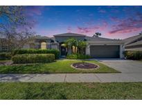 Charming single-story home featuring manicured landscaping, a two-car garage, and a welcoming front entrance at 8942 Aberdeen Creek Cir, Riverview, FL 33569