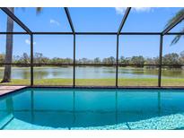 Screened-in pool with scenic lake view, offering a serene outdoor living space at 8640 Chadwick Dr, Tampa, FL 33635
