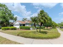 Charming home featuring lush landscaping, palm trees, and a well-manicured lawn, creating a welcoming curb appeal at 14501 Brambie Ct, Tampa, FL 33624